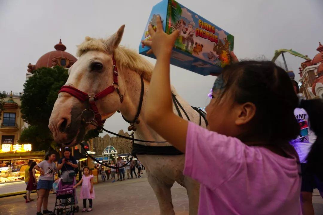 常州哪个旅游团比较好，常州哪个旅游团比较好点（<云中部落别墅、嬉戏谷、恐龙园、环球港>）