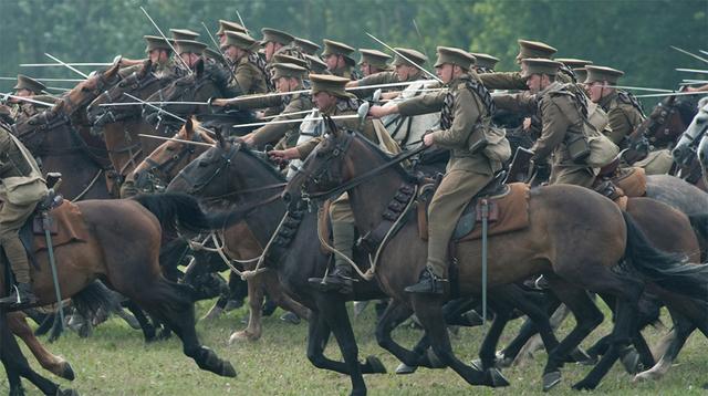 骡子是什么，骡子是什么时候出现的（如何区分马、骡子和驴）