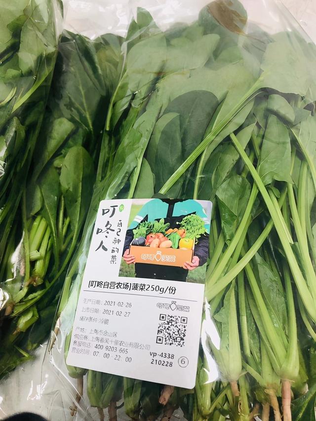 米苋，“金山菜”24小时从田间到餐桌（米苋菜）