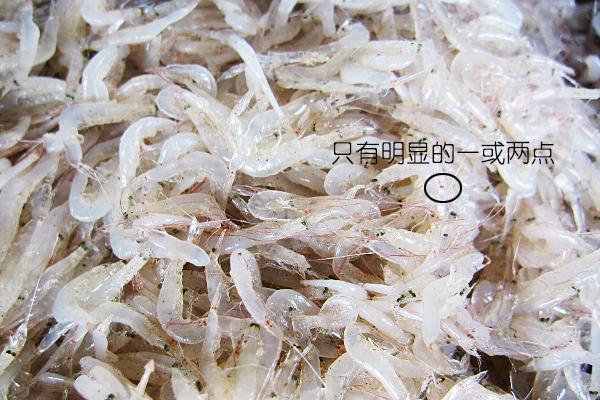 北极甜虾和普通虾的品种区别，如何鉴别对虾、罗氏虾、北极甜虾……一文解决“虾”认识