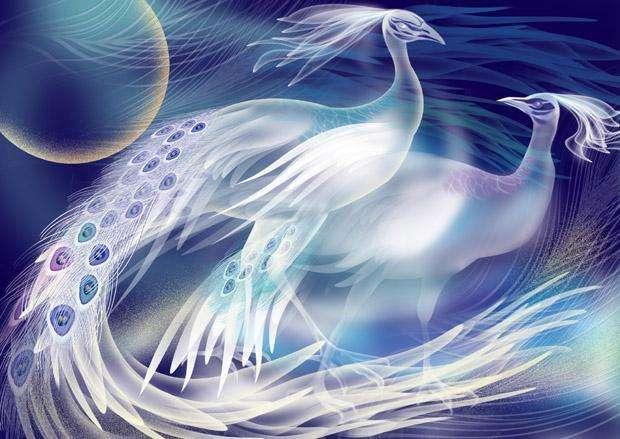 凤凰是哪里的,凤凰是哪里的烟(凤凰和朱雀都能浴火重生)