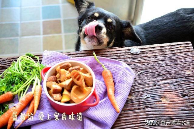 高血脂怎么吃减肥效果最好，血脂高的人不敢吃肉
