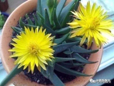 电视剧樱桃李岩扮演者是谁,电视剧樱桃李岩扮演者是谁演的(我是怎样用逆向思维从事写作的) 电视剧樱桃李岩扮演者是谁,电视剧樱桃李岩扮演者是谁演的(我是怎样用逆向思维从事写作的)