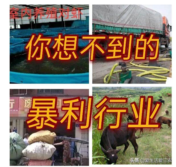 赚钱的项目(正规赚钱游戏app)