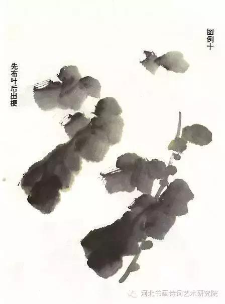 花的画法——菊花的画法，菊花是怎么画（菊花画法大全）