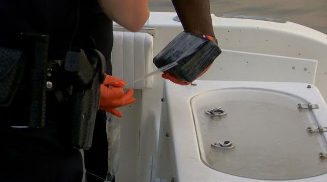 飞虎鱼是什么，飞虎鱼百度百科（美国渔民观察鱼群后打捞出价值百万毒品）