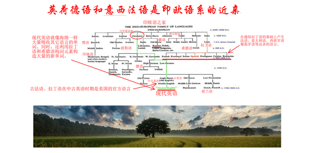 阿们在圣经中的意思，祷告中的阿门是什么意思（英语学习者必须了解的基本常识英荷德语和意西法语是印欧语系近亲）