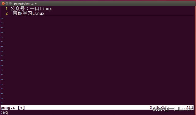 linux压缩命令，linux压缩命令gzip（Linux入门的基础知识点汇总）