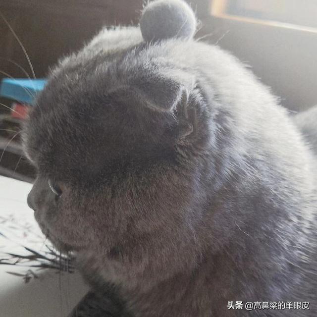 夫妻7年之痒的真实经历，00后情侣走过“七年之痒”有多难