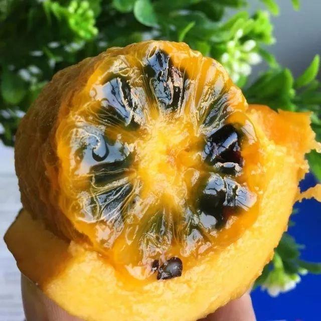 十月瓜是什么，九月瓜是什么（网上卖30元1斤）