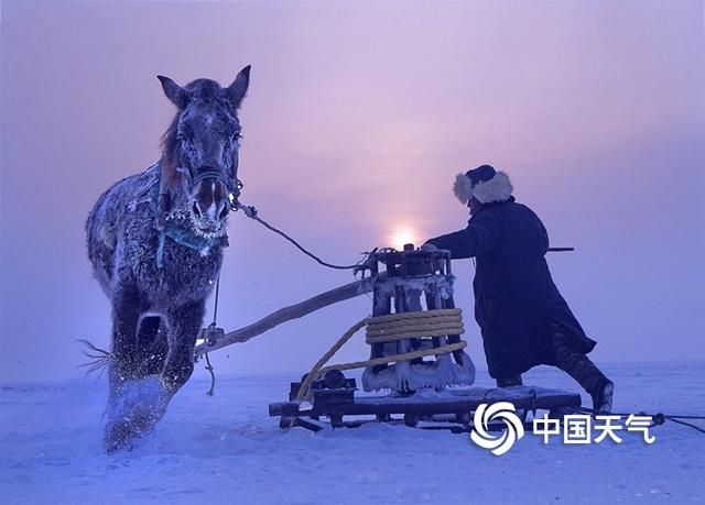 数九寒冬的数是什么意思，数九严寒数的意思（大数据告诉你数九都有啥讲究）