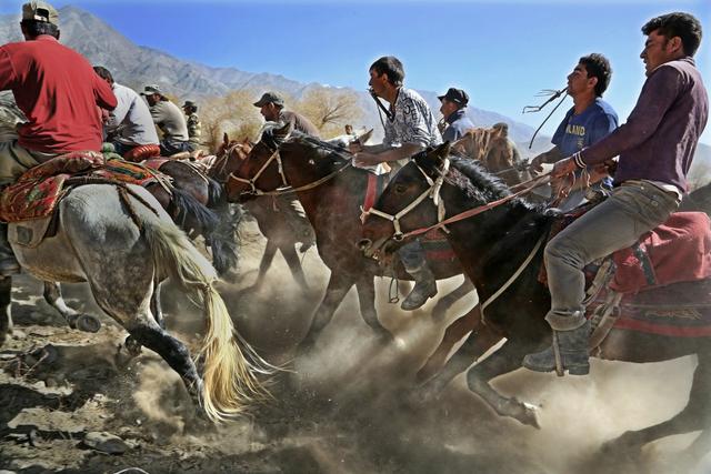 用马字组词有什么，马字组词还有什么（拍马“留序”摄影浅谈）