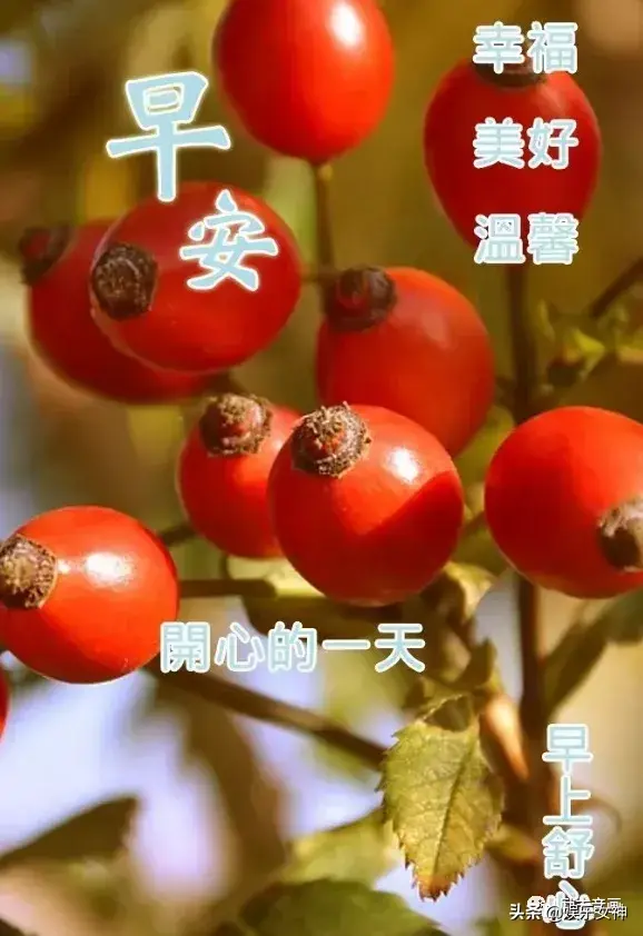 清明早上问候语，清明节的问候语早上好（早晨祝福图片 清明问候句子）