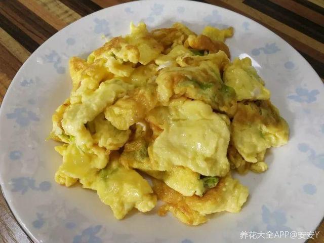 不锈钢盆可以放烤箱吗，烤箱里可以放不锈钢盆吗（10种花最养人）