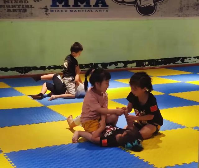 散打和自由搏击哪个更实用，自由搏击和散打哪个杀伤力大（搏击、武术、散打、跆拳道）