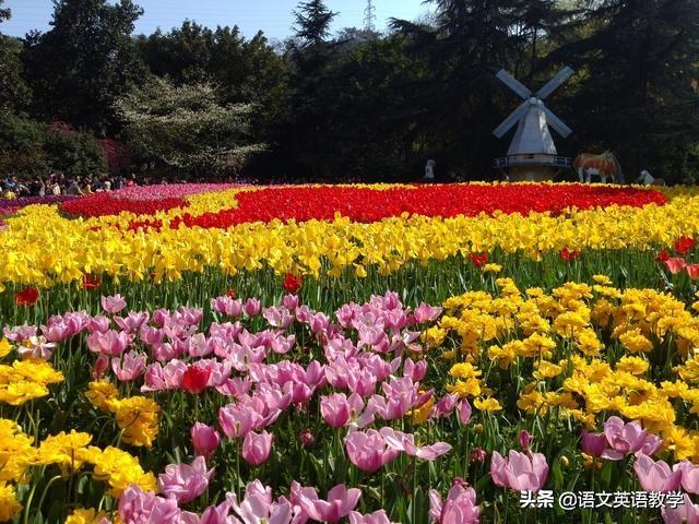 心有余悸什么意思，心有余悸意思是什么（近10年高考语文试卷中的重点成语汇总）