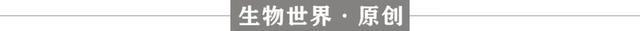细胞中的细胞器有哪些，细胞内主要细胞器（并与癌症转移有关）