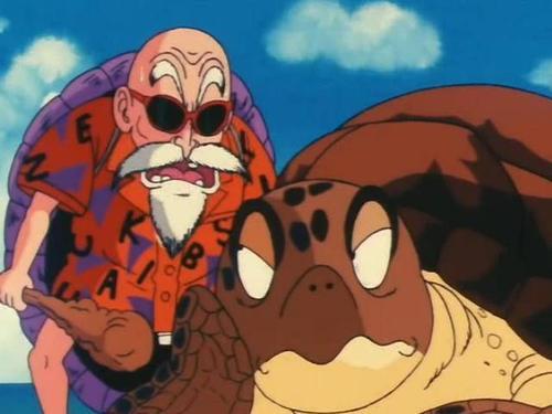 海龟是两栖动物吗，海龟是不是两栖动物（海龟历史久活得还久）