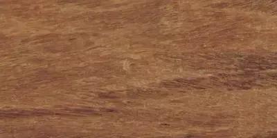 缅甸花枝是红木吗，缅甸花枝是红木吗值钱吗（18种濒危管制红木木种盘点）