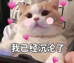 夏有芒果冬有板栗而你四季都有我，微信头像，古风情头：夏有芒果冬有板栗而你四季都有我（适合朋友圈宣布恋情的短句）