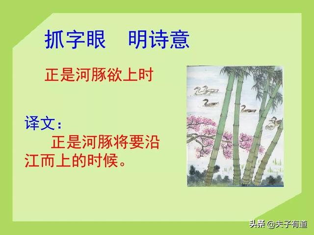 鸯字怎么组词，鸯字怎么组词三年级（部编版语文三年级下册第一单元汇总）