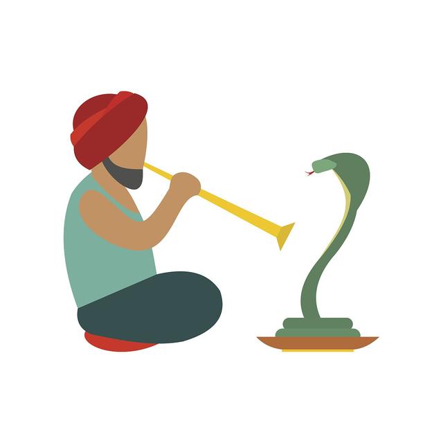 遇到死蛇有什么预兆，梦见死蛇是什么预兆（更别滥捕滥食野生动物）