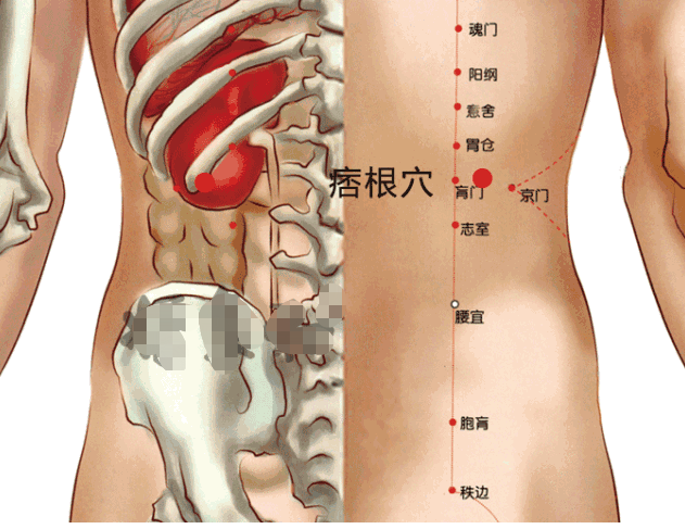 鱼腰的准确位置和作用，个个都是穴位学中的高手