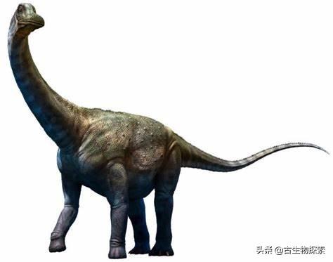 世界上有什么恐龙，世界上有几种恐龙（世界最大恐龙排行榜）