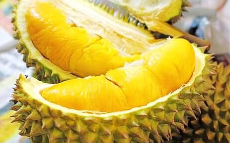 狗狗可以吃什么水果，贵宾犬吃什么水果好（那些狗狗的水果清单）