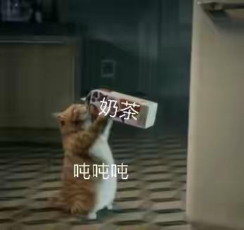 表情包很火的那只猫，最近很火的猫猫表情包（小猫咪可爱表情包）