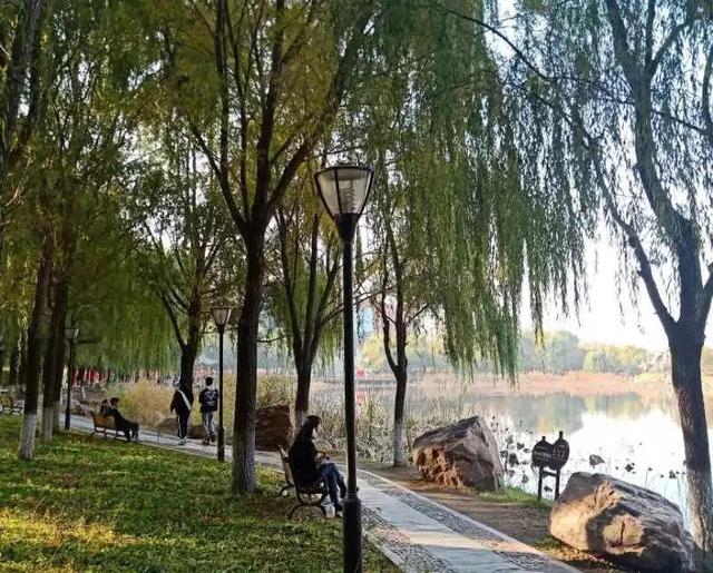 沈阳城市建设学院是几本，沈阳城市建设学院是几本大学（<十一>沈阳城市建设学院）