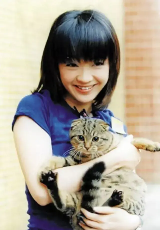 陈慧娴老公是谁，陈慧娴老公是谁（55岁的一代歌后陈慧娴）