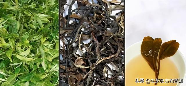 普洱茶的产地，普洱茶的产地哪个最好（普洱茶的产区、山头、村寨如何区分）