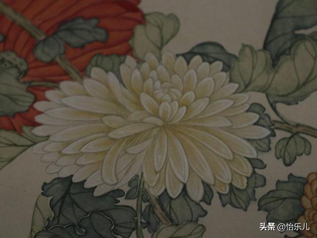 葩的读音（葩怎么读，葩是什么意思（金佛座、搓粉妆、绶带紫、鹤头丹）