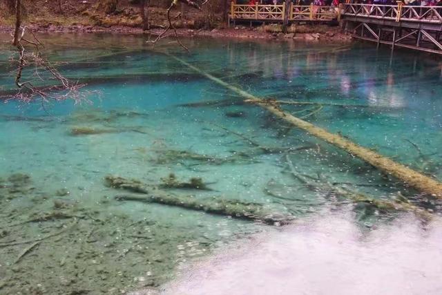 描写九寨沟的诗句，描写九寨沟的诗句加古代诗人（九寨沟108个高山湖泊）