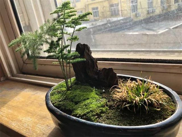 住宅大门朝东，住宅大门朝东风水布局（家里的大门朝哪）