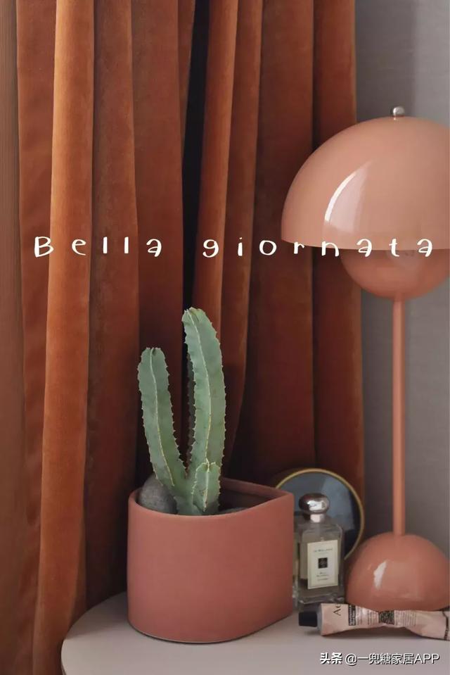 可以拍照整理错题的app，免费扫一扫批改作业（这25件高颜值家居小物）