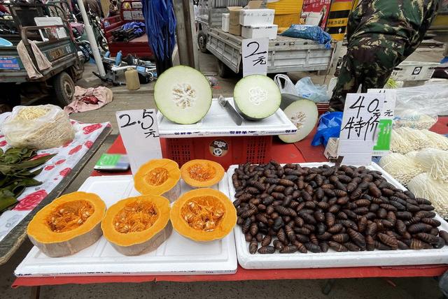 辽宁最穷十大城市排名，辽宁最穷的五个市（本溪、铁岭、阜新谁能在2019翻盘呢）