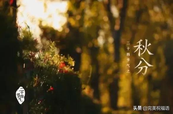 秋分祝福短信，金秋祝福短信（明日秋分，祝福送给您）