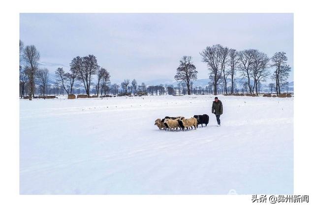 jkmtl00是什么型号，jkmal00是什么型号的（2020年凉山第二届全民手机摄影大展作品欣赏）