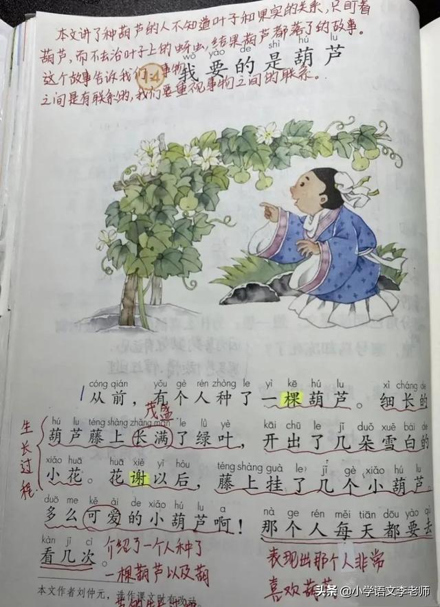 言字怎么组词，二年级语文上册《我要的是葫芦》知识点整理