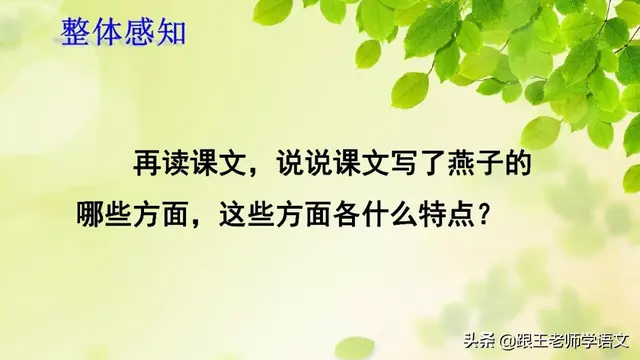 燕的多音字组词，燕京读音（燕国读音（部编语文三年级下册课文2、燕子）