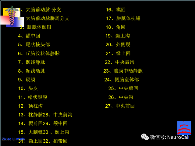大脑结构图及功能图，人类大脑十大三维解剖图（脑局部解剖与功能图谱）