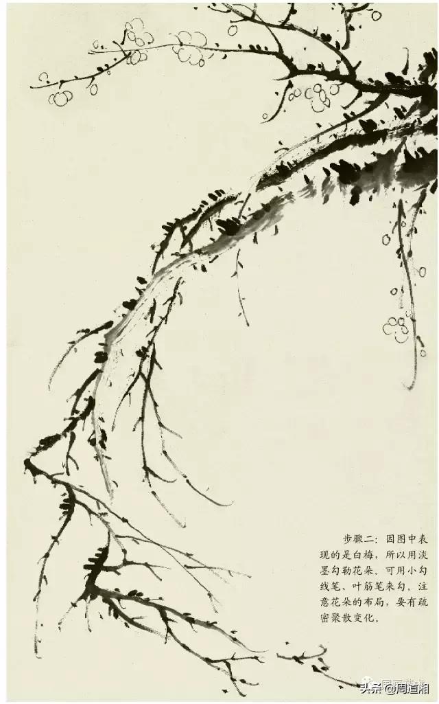 梅花13怎么手绘画，教梅花13怎么画（国画入门教程——梅花的画法）