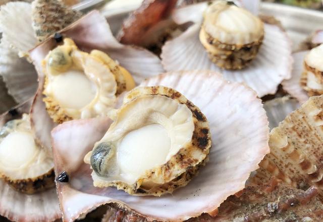 扇贝怎么做好吃又简单，扇贝粉丝怎么做好吃（这才是扇贝正确做法）