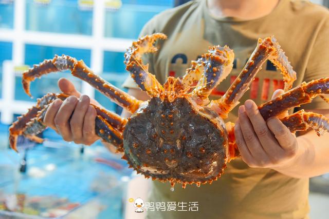 大排档取什么名字好些，大排档取什么名字好些呢（厦门名字最好记的海鲜大排档）