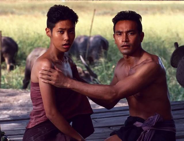 鬼片排行榜前十名，恐怖电影排行榜前十名（《厉鬼将映》未进前三）