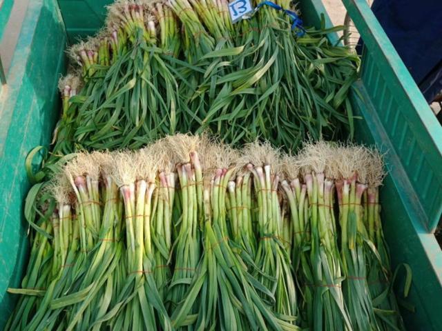 大蒜的功效与作用，大蒜的功效与作用大蒜怎么吃（大蒜的功效与作用壮阳）