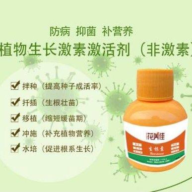 郁金香可以水培吗，郁金香能不能水培（郁金香的水培种植方式）