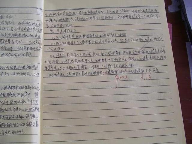 书法字体分类，各种书法字体（学生书写字体的分类）